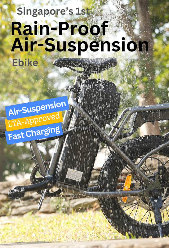 lta approved electric bicycle singapore shop SMART 1S E-BIKE Foldable PAB Will I get booked by